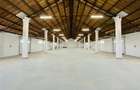 Hale Tg. Neamt, bd. St. cel Mare, depozitare, de la 250mp la 2000mp - 2