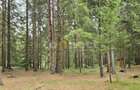De vânzare casă de vacanță deosebită | Călățele Pădure – Dealul Negru, Cluj - 8