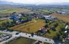 Teren intravilan | 20500 mp | PUZ | multiple destinatii | Stupini - 8