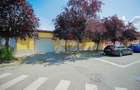 Casă zona Horea, cu apartament separat, grădină amenajată și garaj - 32