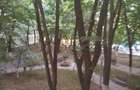Apartament 2 camere.  Cu Centrala. La 2 min. metrou Brancoveanu. - 10