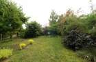 Casa de vanzare 4 camere, zona Otopeni, Odai - 41