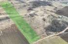 Teren extravilan 4500mp cu autorizatie adapost agrigol in Gusterita - 2
