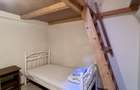 Apartament 2 camere, curte comuna, 50 mp - Zona Iosefin - 9