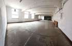 Parc Industrial, 84000 mp, Pucioasa - 6