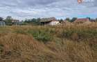 Teren intravilan de 1508 mp cu utilitati - Ianova - 4