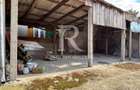 Casă cu etaj în Salonta | 996 mp | Grădină & livadă
