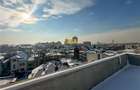 Vanzare Penthouse Spatiu Birou Dorobanti - 3
