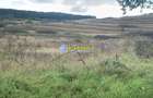 Teren intravilan de vanzare 1248 mp d=15 mTeleac cu utilitati panorama deosebita - 1