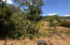 TEREN INTRAVILAN - 2500 MP - Valea Mare- Podgoria - 5
