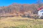 Propriete superbă la marginea pădurii în Râșnov Primăverii 5,000 mp - 25