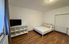 Studio pet friendly, 42mp la casa in Astra, str Baba Novac - 3