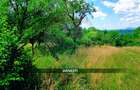 Teren intravilan 6115mp | Danesti, Maramures | Oportunitate investitie - 3