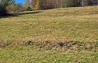 Teren extravilan in localitatea Bulz - 14
