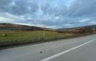 Teren Extravilan I 6000 Mp I Acces la drum | Cojocna - 4