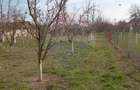 Teren Vladimirescu-  Zona Excelenta  2954 MP INTRAVILAN!!! - 3
