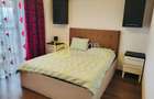 Apartamet cu doua camere Bulevardul Unirii - pod Serbanesti - 4
