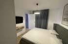 Apartament 3 camere de inchiriat Victoriei Titulescu - 9