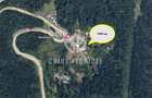 Teren cu padure 1000 mp, Predeal - Strada Pajistei - Valea Ursuletul - 4