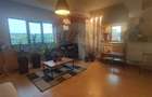 Apartament 67 mp util de vanzare Orizont 2 Paleu, zona metropolitana - 9