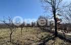 Teren intravilan | Berința | 5800 mp - 3
