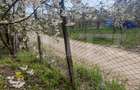 Teren Construibil 2900 mp cu 2 deschideri la asfalt – livadă matură, DN 72A - 19