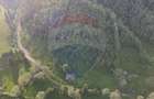 Teren 38,704mp Sirnea | 2.000 mp Intravilan | 36,704 Extravilan - 13