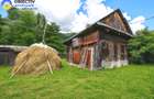 CASA traditionala BICAZU ARDELEAN + teren extravilan 1,6 hectare - 3