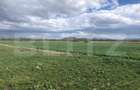 De vanzare teren extravilan 50.000 mp - 1