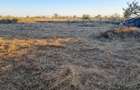 Teren intravilan , zona Damila , 800mp cu front de 31,44 - 1