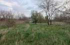 Teren de vanzare in Snagov, Jud. Ilfov - 3