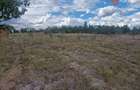 Teren intravilan de 1493 mp cu utilitati - Ianova - 7