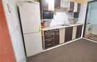 Apartament cu 3 camere decomandate, strada Alecu Russo Bacau - 10