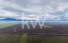 Teren exceptional pentru investitii industriale langa Brasov - 5