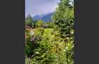 House for sale, 5 Rooms, 180 sqm, Valea Dejani - 12