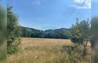 Teren cu potențial turistic, cadru natural rar, 20.000 mp  Sacuieu - 9