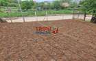 Teren de vanzare zona Micesti - 5