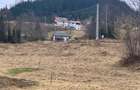 Teren de vanzare in loc. Rogojel, masivul Vladeasa - 2