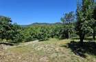 PROPRIETATE EXCEPTIONALA ,TEREN 33.161 MP + RESIDENTA P+1+M - 36