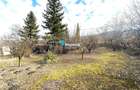 Teren intravilan 4800 mp, investitie,  utilitati complete, Dancas Miroslava - 1
