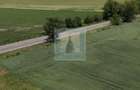 Teren intravilan 50000 mp, cu PUZ, Aprobat - zona Halchiu/Codlea - 17