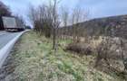 Teren intravilan 6.500 m²–Deschidere 144 ml drum european E81, km 35, Morăresti - 2