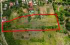 0% COMIOSION-  Teren Intravilan 8.841mp Uricani – Langa Centura - 2