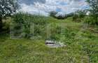 Casă de 100 mp utili cu teren de 1340 mp – Comuna Șintereag - 5