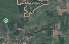  Casă bătrâneasca 1009 mp+ extravilan (6000 mp)de vânzare în satul Malumnic  - 1
