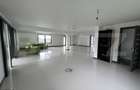 Casă stil mediteranean, 162 mp, teren 2600 mp, zona Silivașu de Câmpie - 4