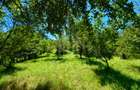 Casă de vânzare-teren 2.300 mp| Ocna Sibiului - 24