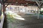 Vand teren comercial la E85 – Fostul Complex „Roata Vietii - 16