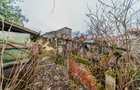 Teren 1.216 mp intravilan cu casă veche 58 mp - Vladimirescu - 4