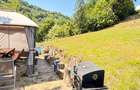 Valea Rosie, teren intravilan 3434mp, langa padure. - 5